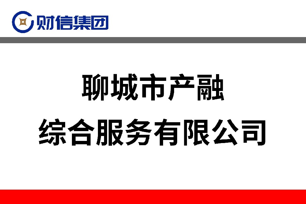 聊城市產(chǎn)融綜合服務有限公司